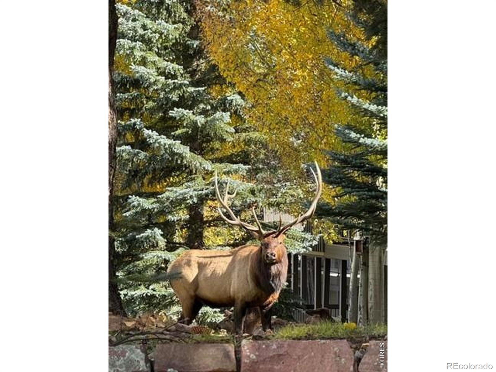 35th image of 1449 Matthew Cir, Estes Park, CO 80517 | MLS# IR1057421