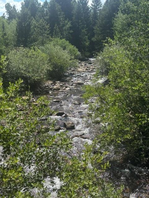 Homes for sale in Nederland, CO | 105 Caribou St, Nederland, CO 80466 | MLS# 8021512