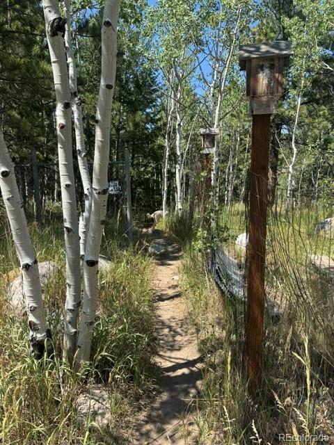 Homes for sale in Nederland, CO | 105 Caribou St, Nederland, CO 80466 | MLS# 8021512