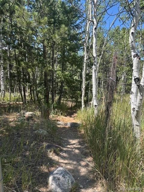 Homes for sale in Nederland, CO | 105 Caribou St, Nederland, CO 80466 | MLS# 8021512