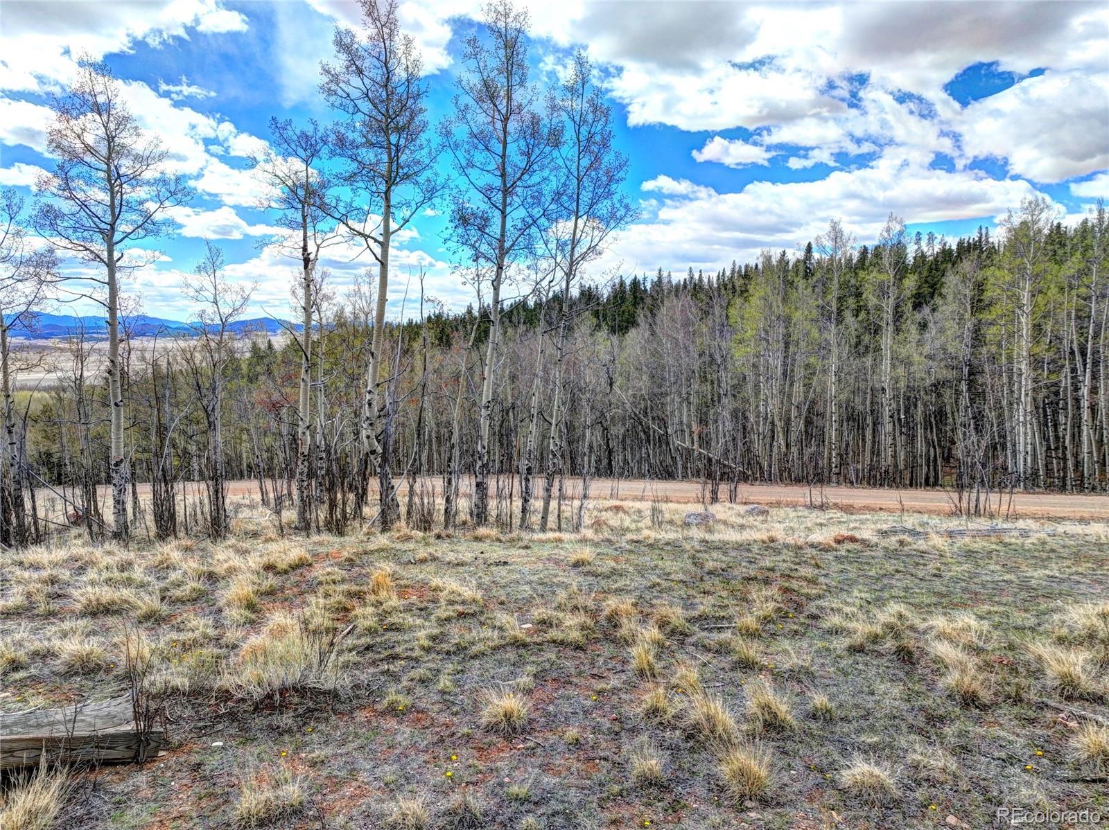 23rd image of 755 Selkirk Ln, Jefferson, CO 80456 | MLS# 4439807