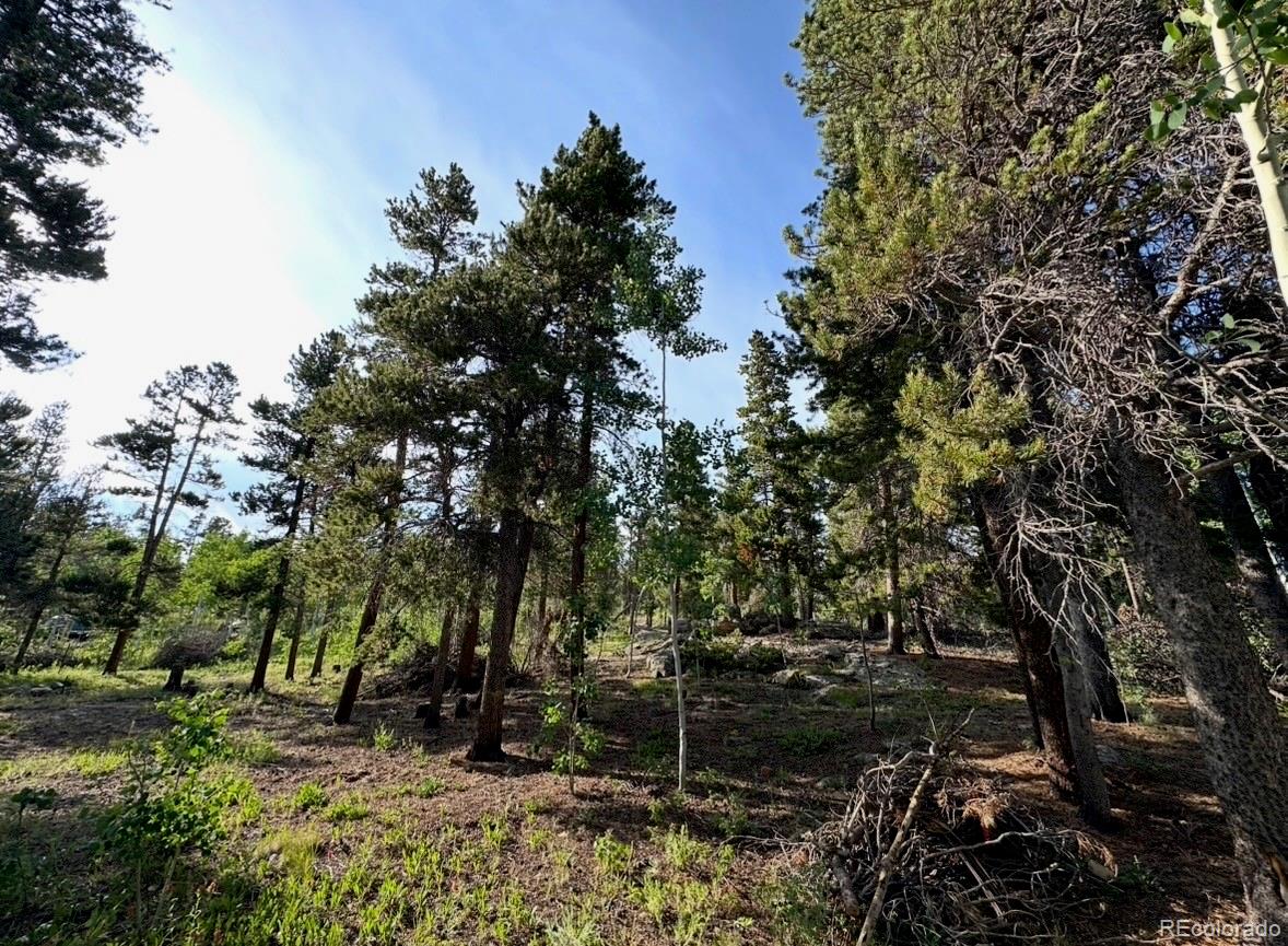 Homes for sale in Black Hawk, CO | 221 Timber Dr, Black Hawk, CO 80422 | MLS# 9452044