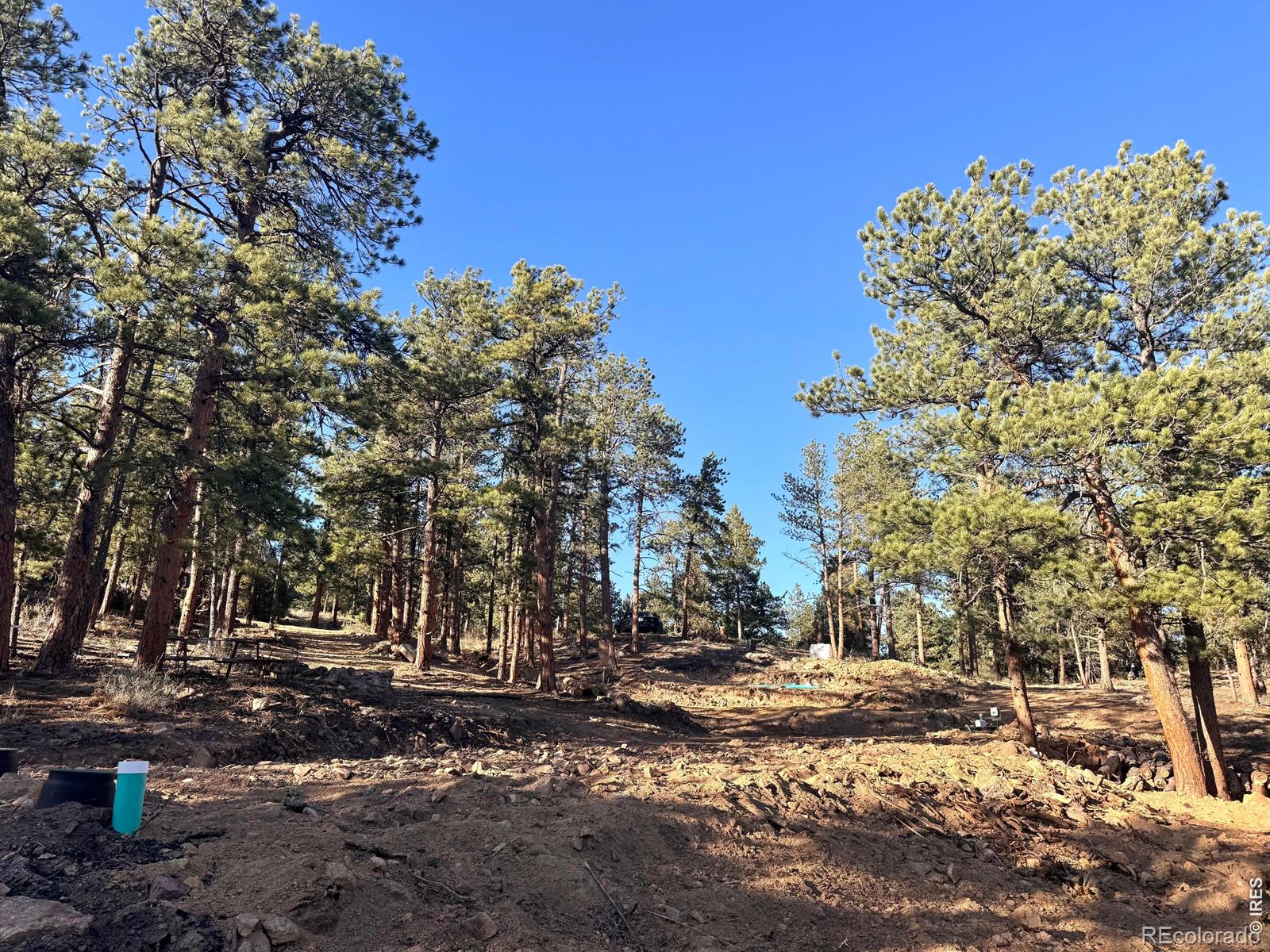Homes for sale in Lyons, CO | 49 Pine Dr, Lyons, CO 80540 | MLS# IR1057719
