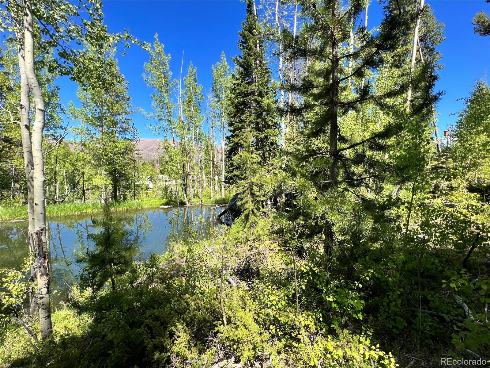Homes for sale in Grand Lake, CO | 134 Mad Moose Ln, Grand Lake, CO 80447 | MLS# 5390706