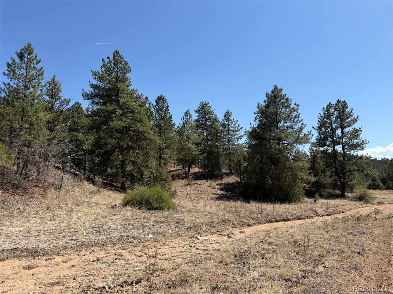 Homes for sale in Cotopaxi, CO | 176 Arnold Dr, Cotopaxi, CO 81223 | MLS# 1779941