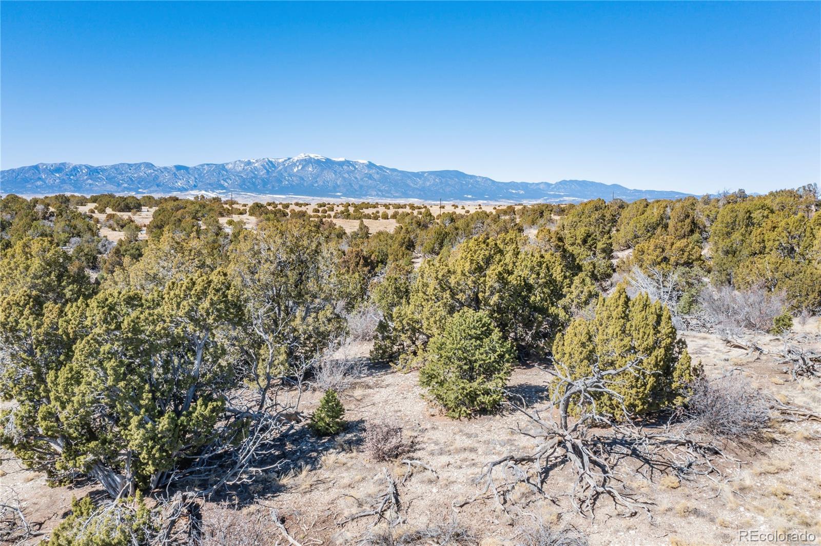 5th image of Ghost River Ranch, Rye, CO 81089 | MLS# 6666518