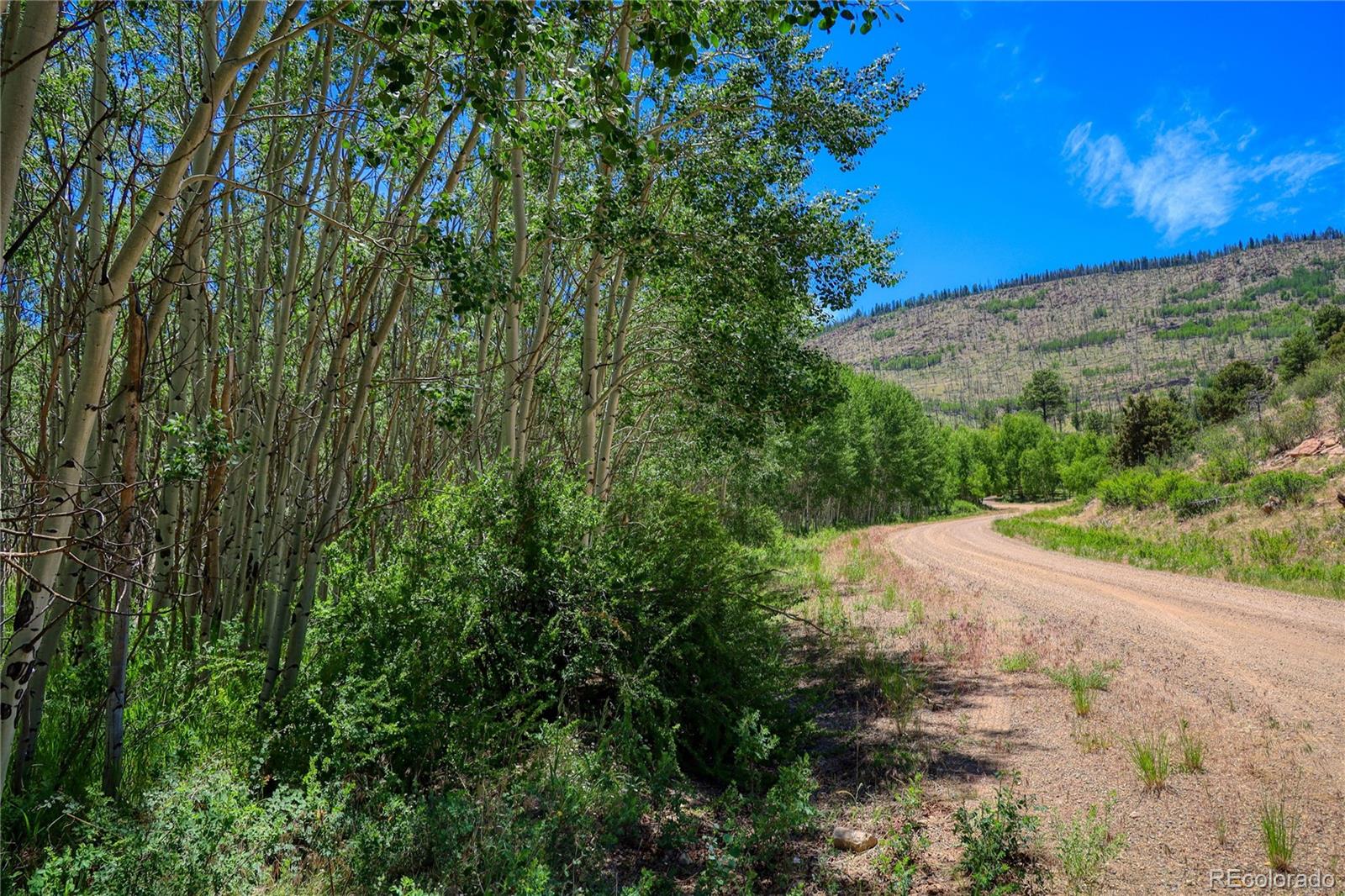 44th image of 302 Rickel Cir, South Fork, CO 81154 | MLS# 4385009