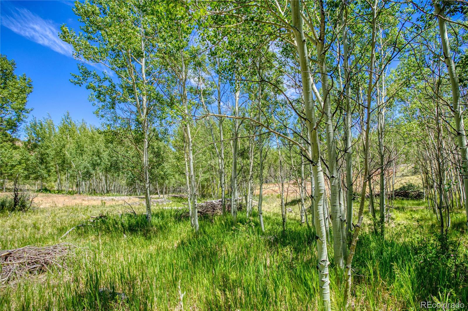 1st image of 302 Rickel Cir, South Fork, CO 81154 | MLS# 4385009