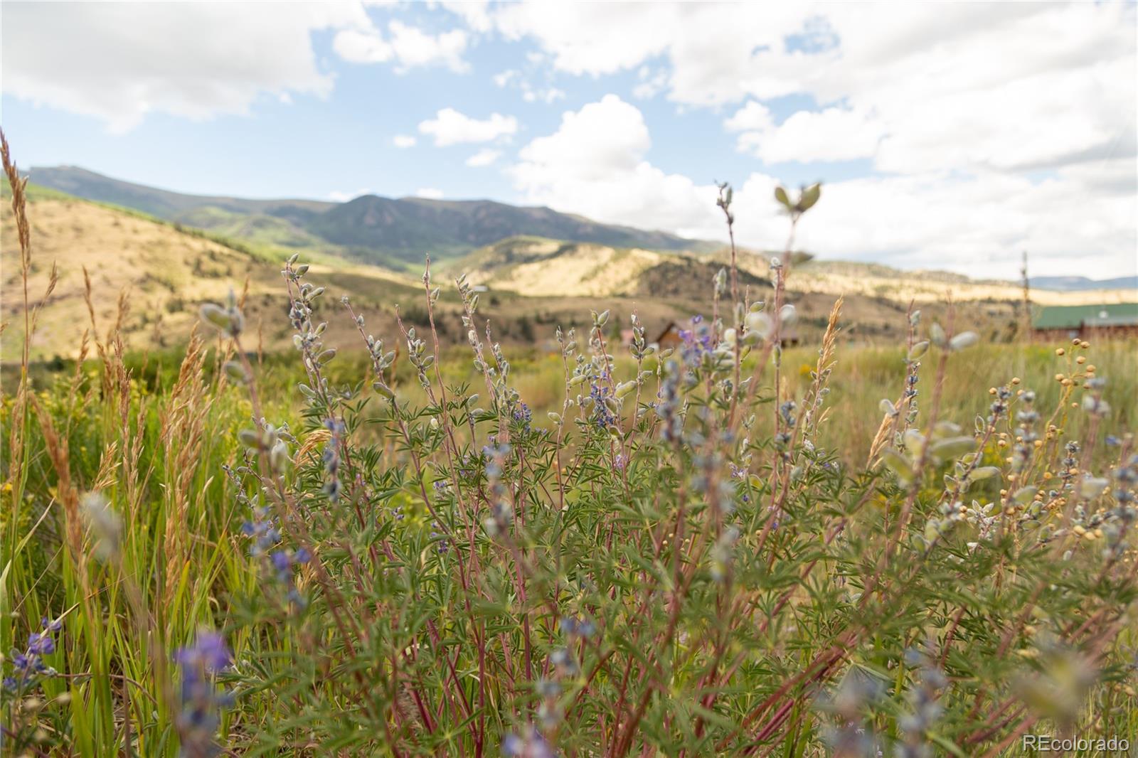 1st image of 341 Spruce Dr, Creede, CO 81130 | MLS# 8746730