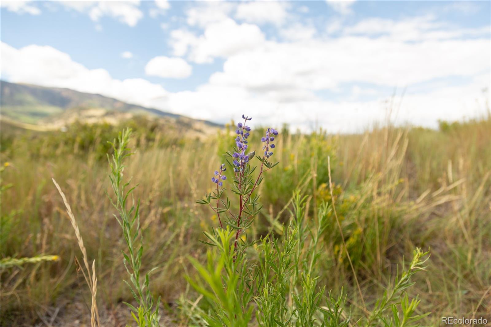 13th image of 341 Spruce Dr, Creede, CO 81130 | MLS# 8746730
