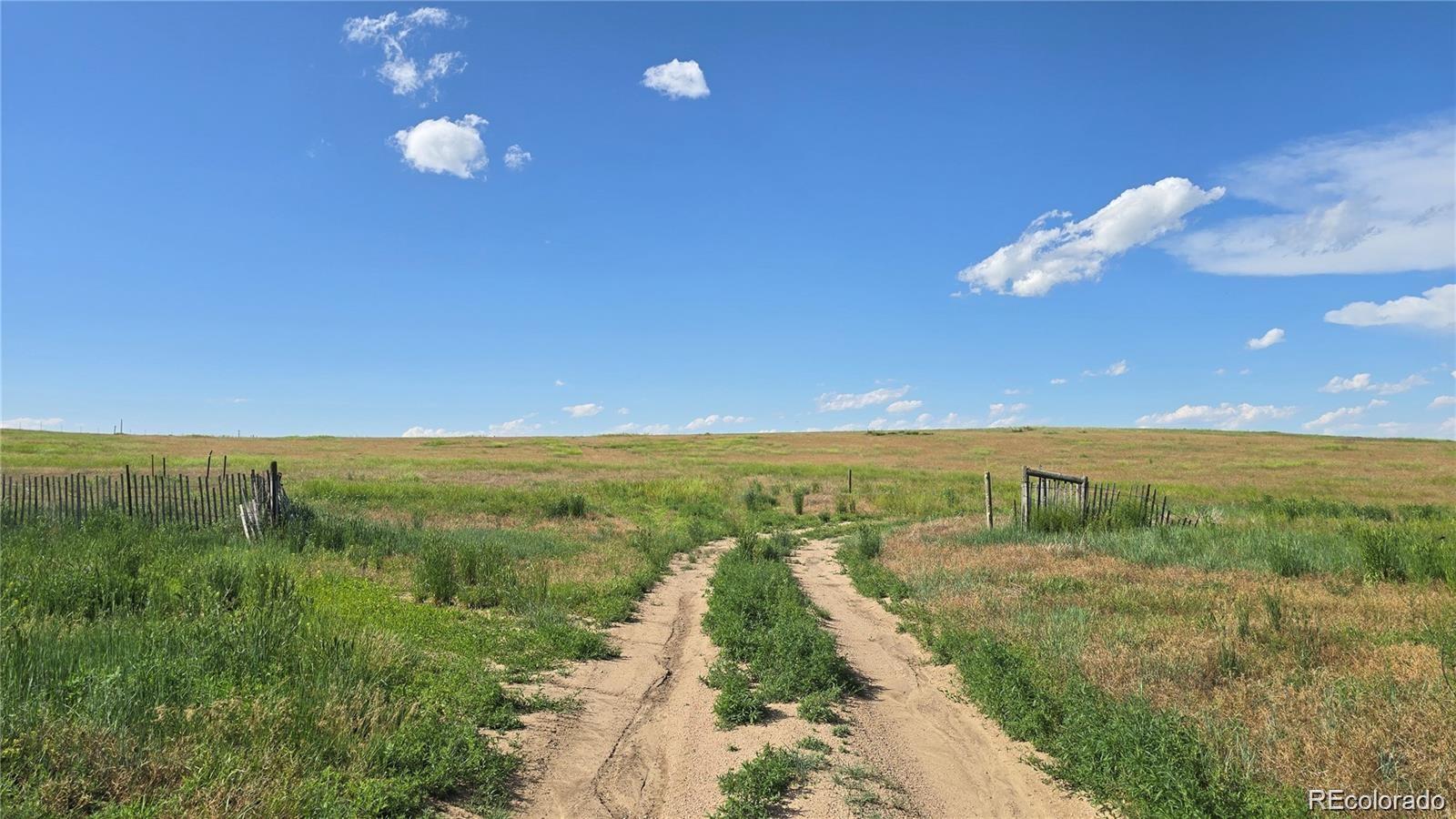 Homes for sale in Agate, CO | 37875 Hwy 86, Agate, CO 80101 | MLS# 7608229