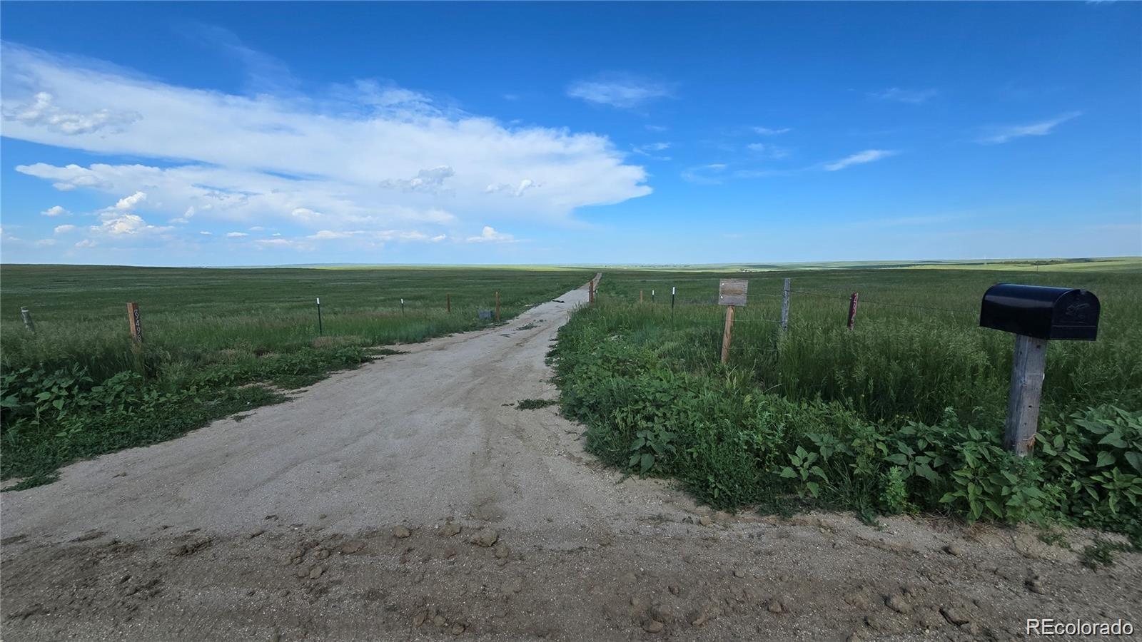 Homes for sale in Agate, CO | 29130 County Road 153, Agate, CO 80101 | MLS# 1930865