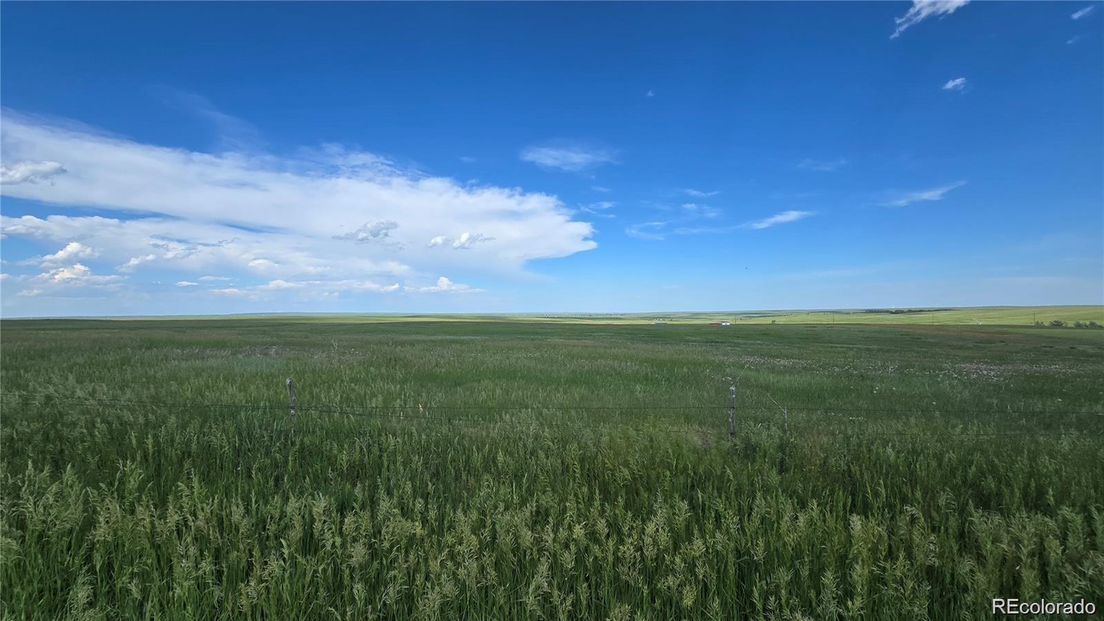 Homes for sale in Agate, CO | 29130 County Road 153, Agate, CO 80101 | MLS# 1930865