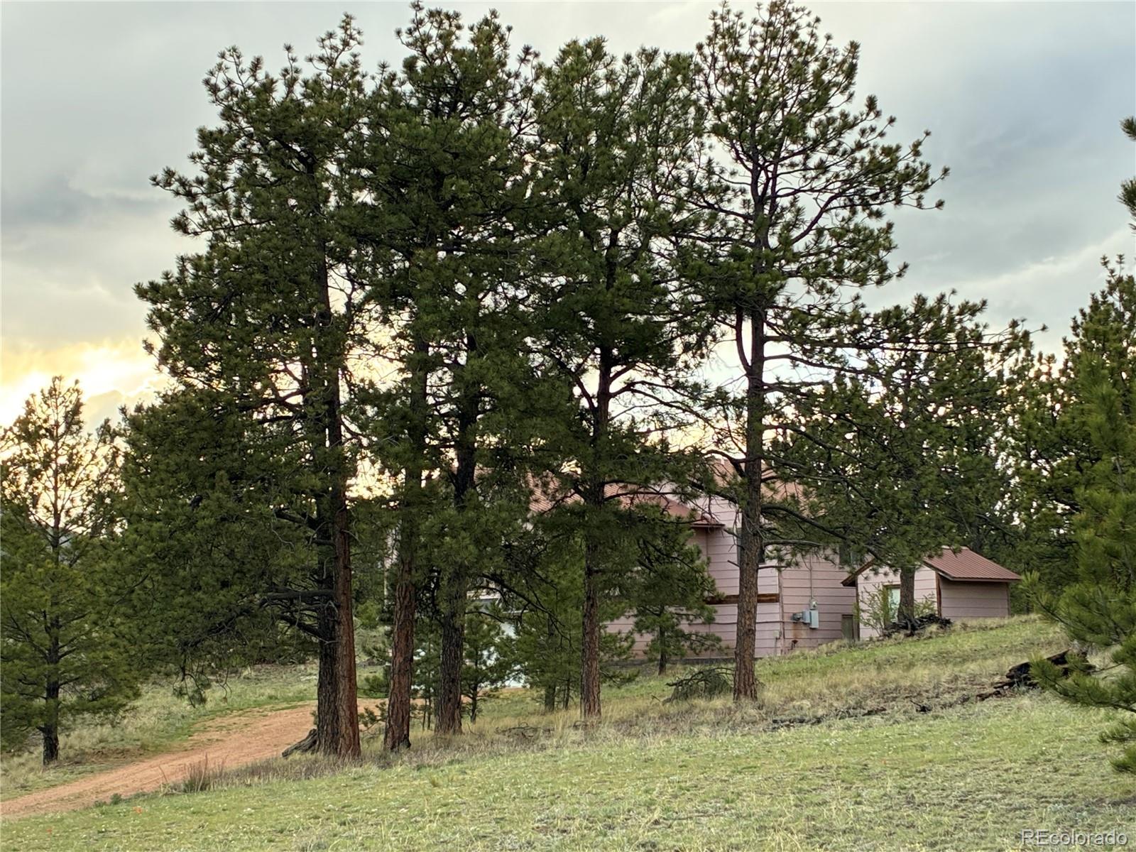 Homes for sale in Guffey, CO | 6951 County Rd 71, Guffey, CO 80820 | MLS# 2155191