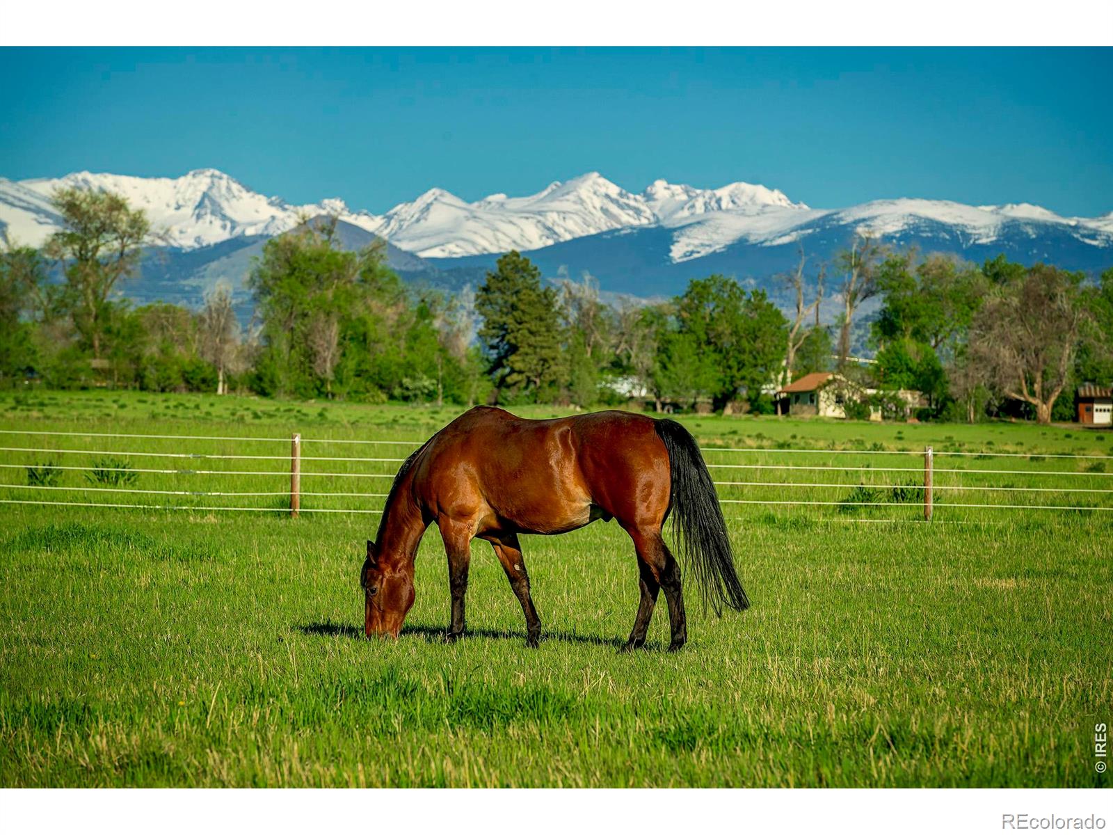 4th image of 2300 75Th St, Boulder, CO 80301 | MLS# IR1060172