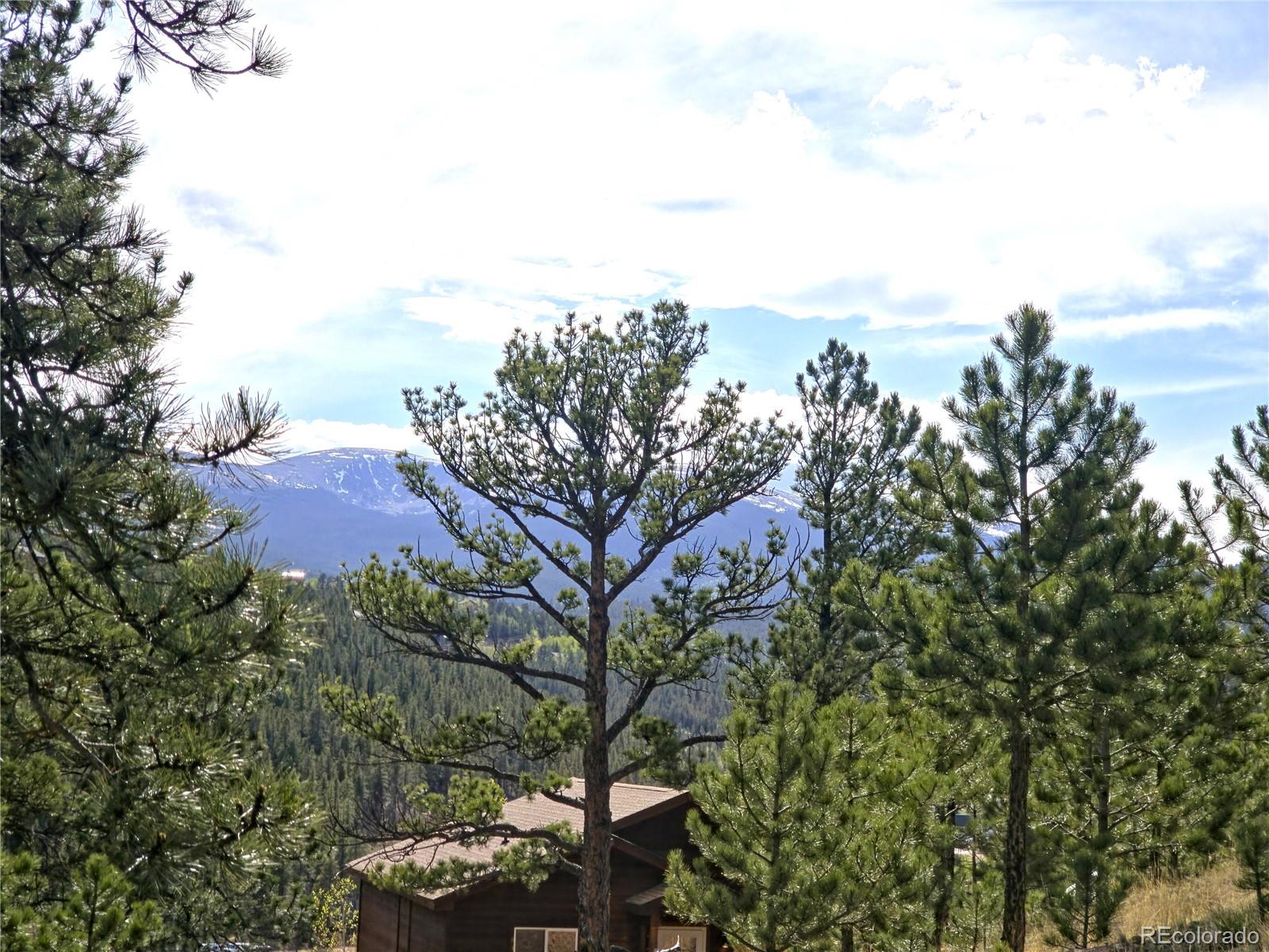 Photo 5 of Single family home for sale at 226 Hall Rd, Bailey, CO 80421 | MLS# 1723855 | Listing updated on 2026-09-02
