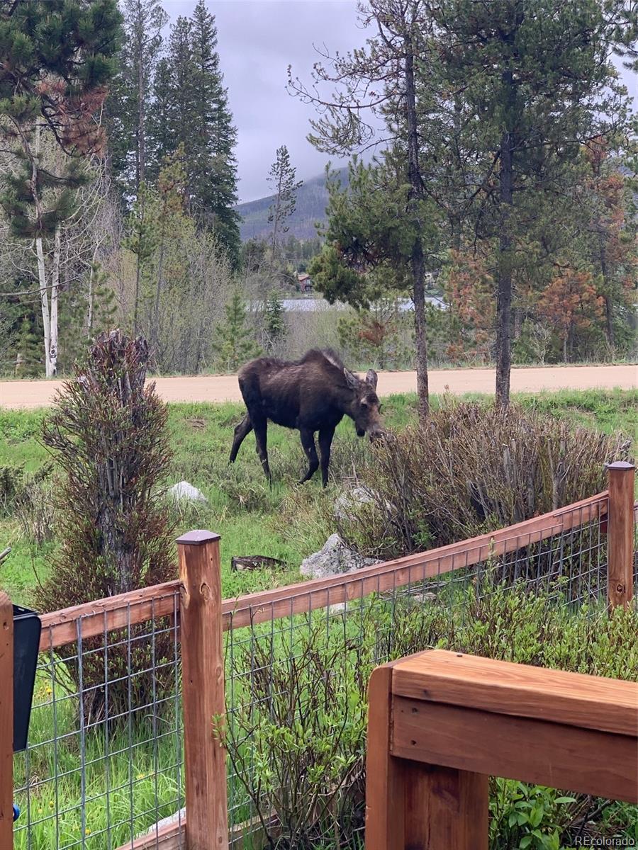 Homes for sale in Grand Lake, CO | 1384 Gcr 494, Grand Lake, CO 80447 | MLS# 1718323
