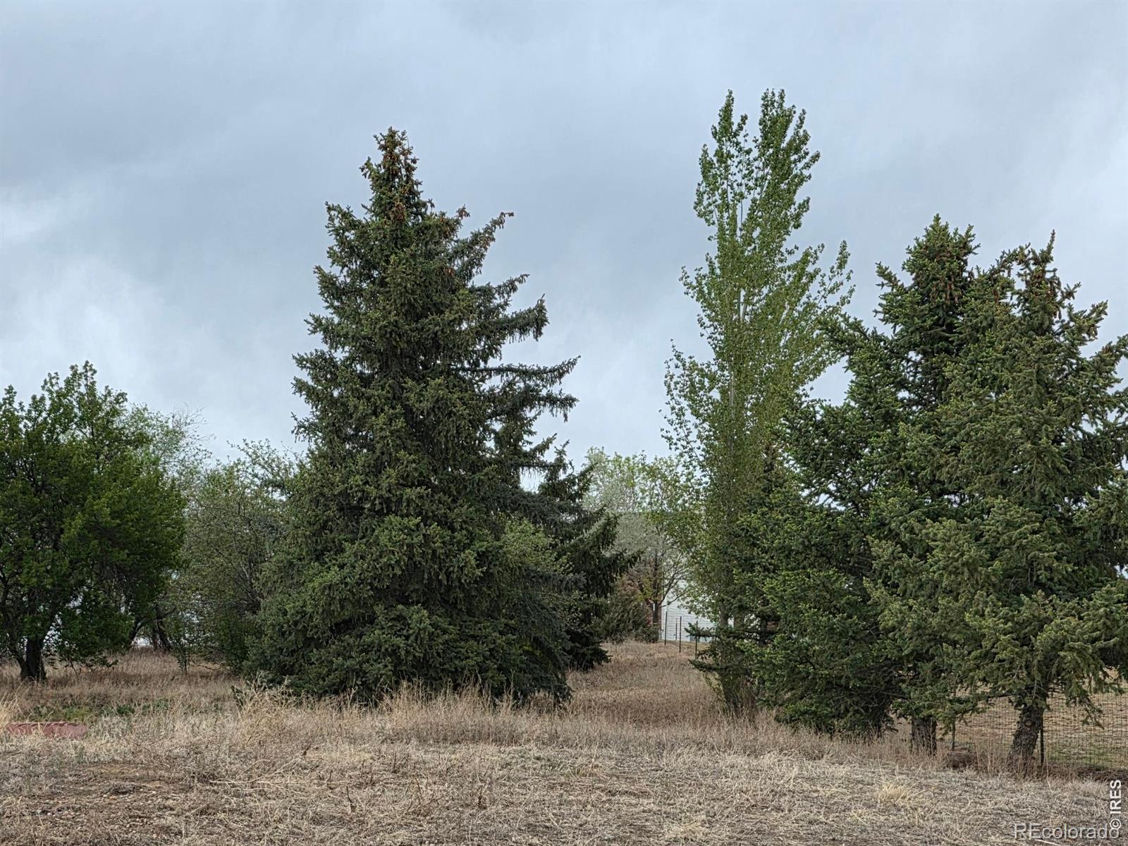 5th image of 20219 County Road 3, Berthoud, CO 80513 | MLS# IR1061834