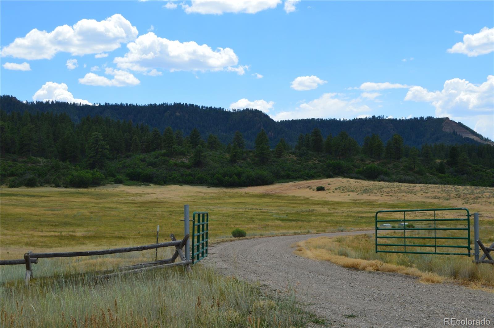 2nd image of 73 Parelli Institute Dr, Pagosa Springs, CO 81147 | MLS# 2902717