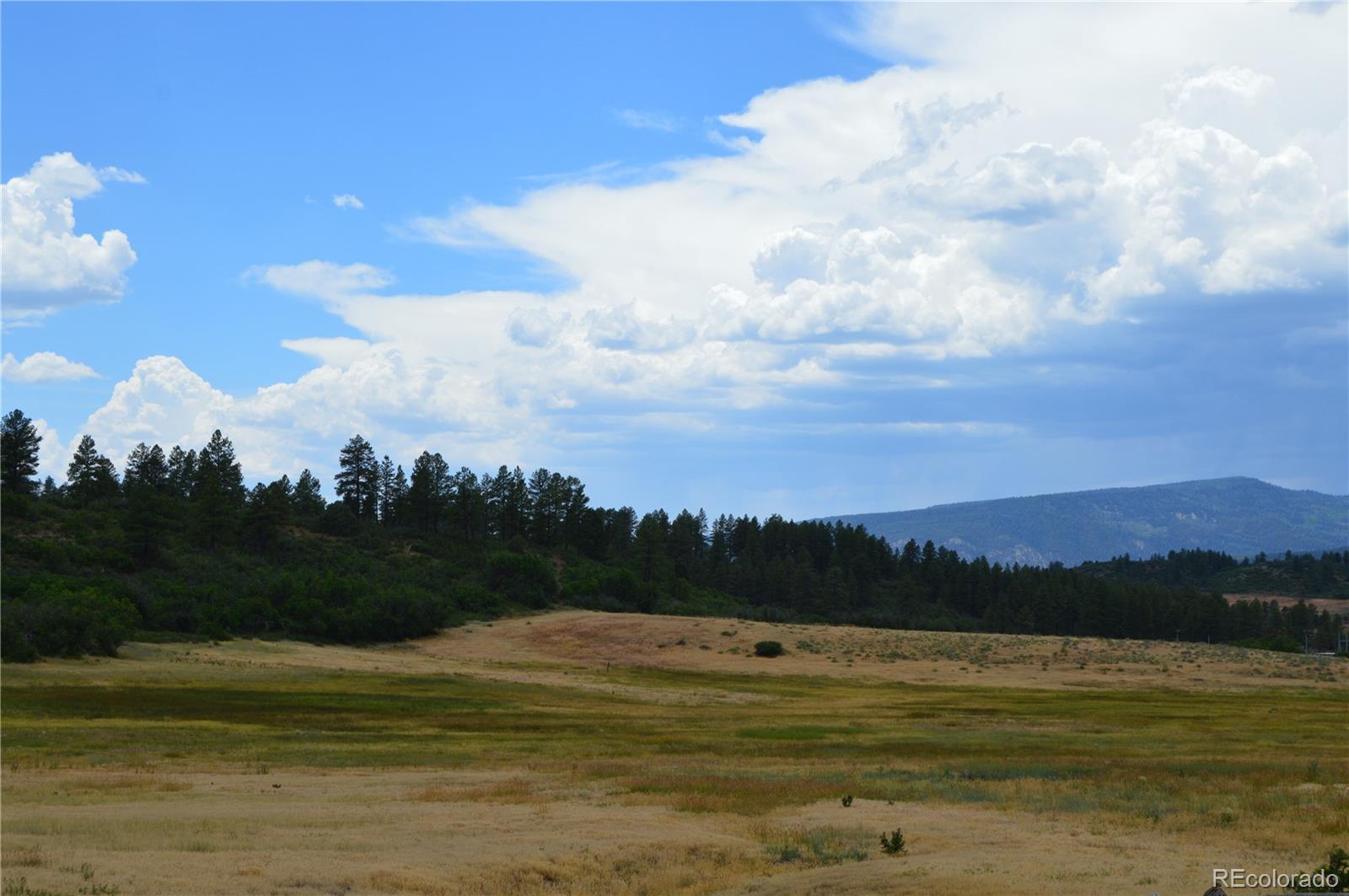 5th image of 73 Parelli Institute Dr, Pagosa Springs, CO 81147 | MLS# 2902717