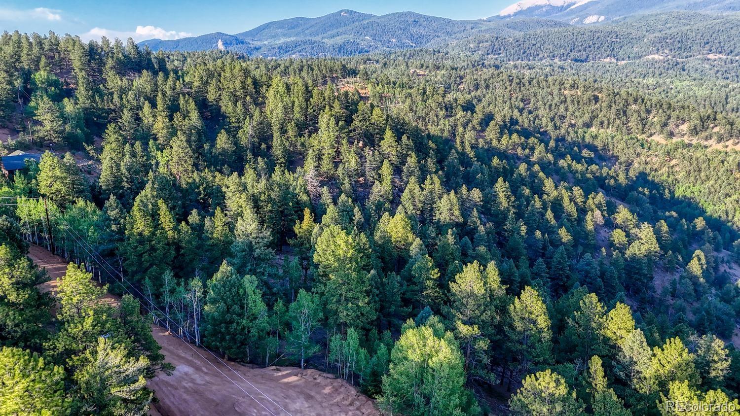 Homes for sale in Divide, CO | 364 Blue Spruce Rd, Divide, CO 80814 | MLS# 8434561