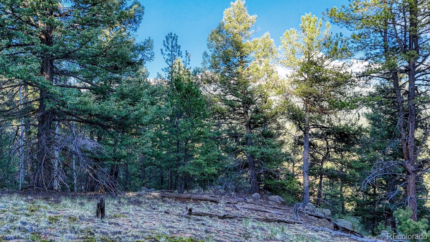 Homes for sale in Divide, CO | 364 Blue Spruce Rd, Divide, CO 80814 | MLS# 8434561