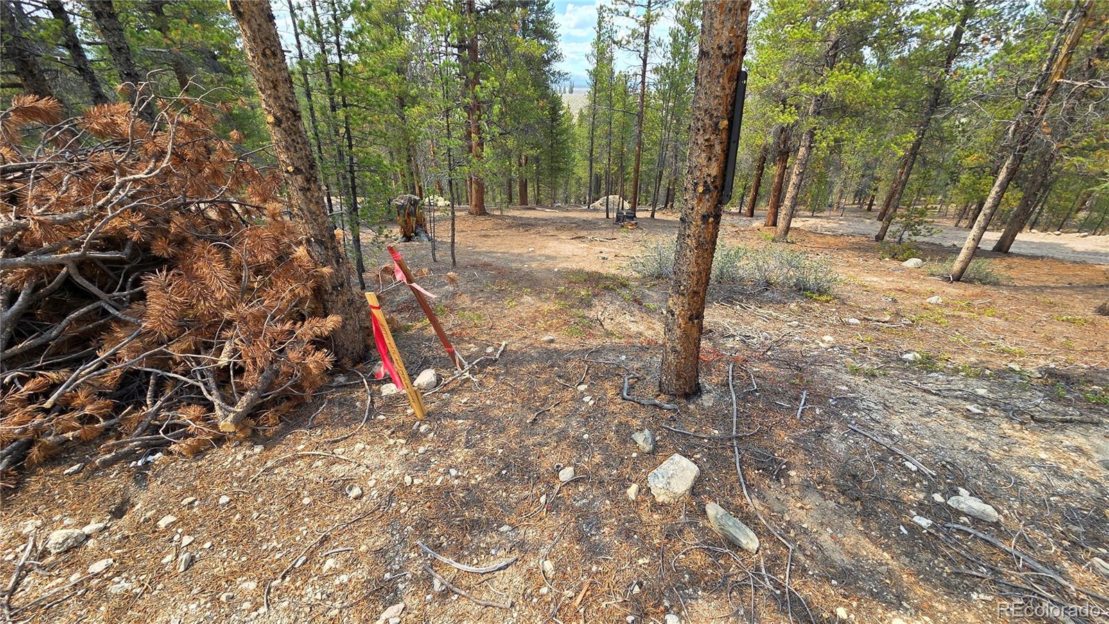 2nd image of 67 Lodgepole Dr, Leadville, CO 80461 | MLS# 1874626