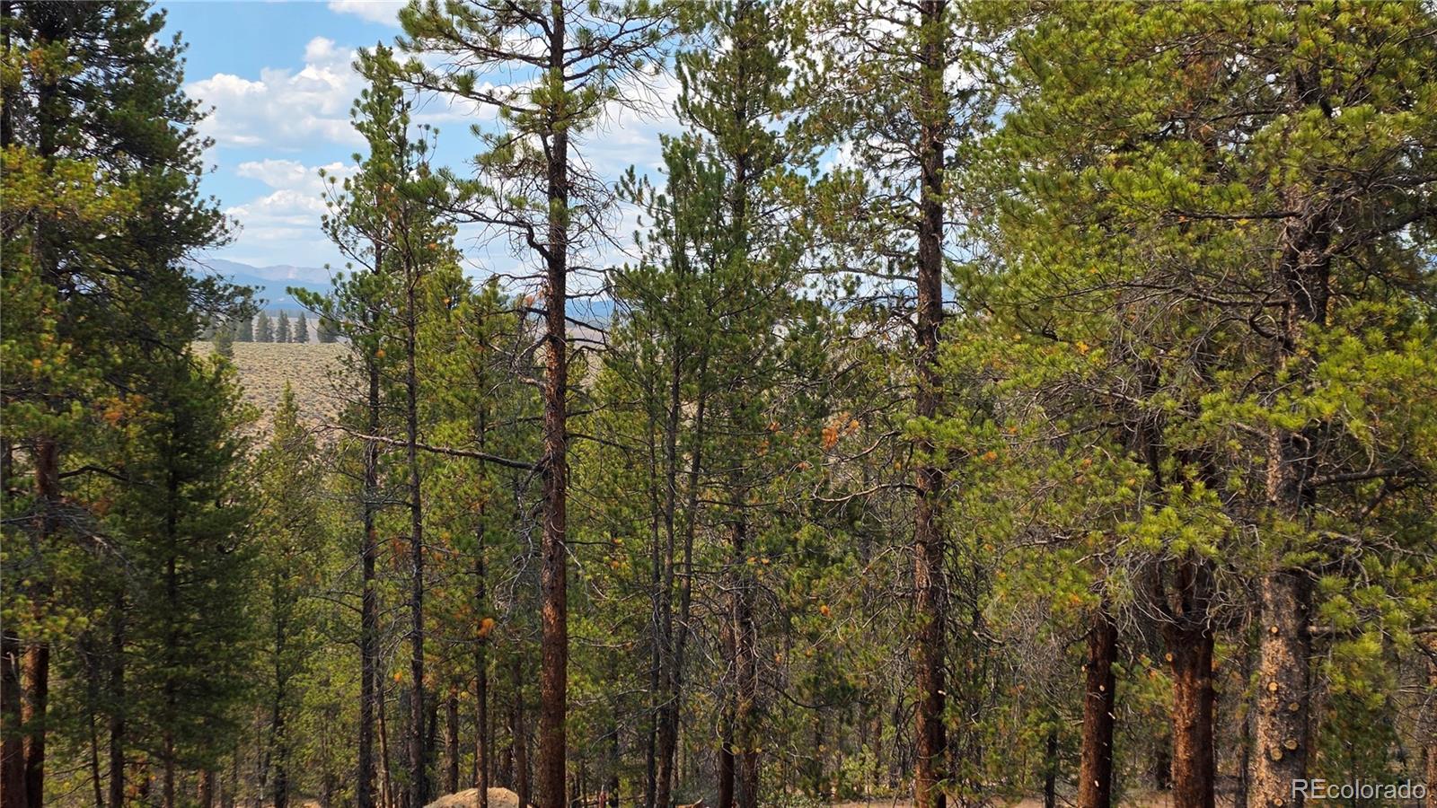 4th image of 67 Lodgepole Dr, Leadville, CO 80461 | MLS# 1874626