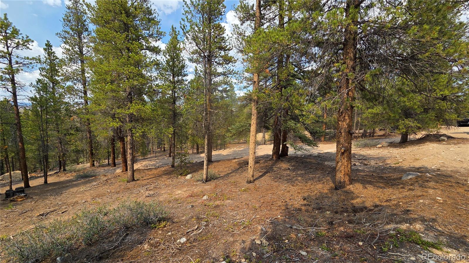 5th image of 67 Lodgepole Dr, Leadville, CO 80461 | MLS# 1874626