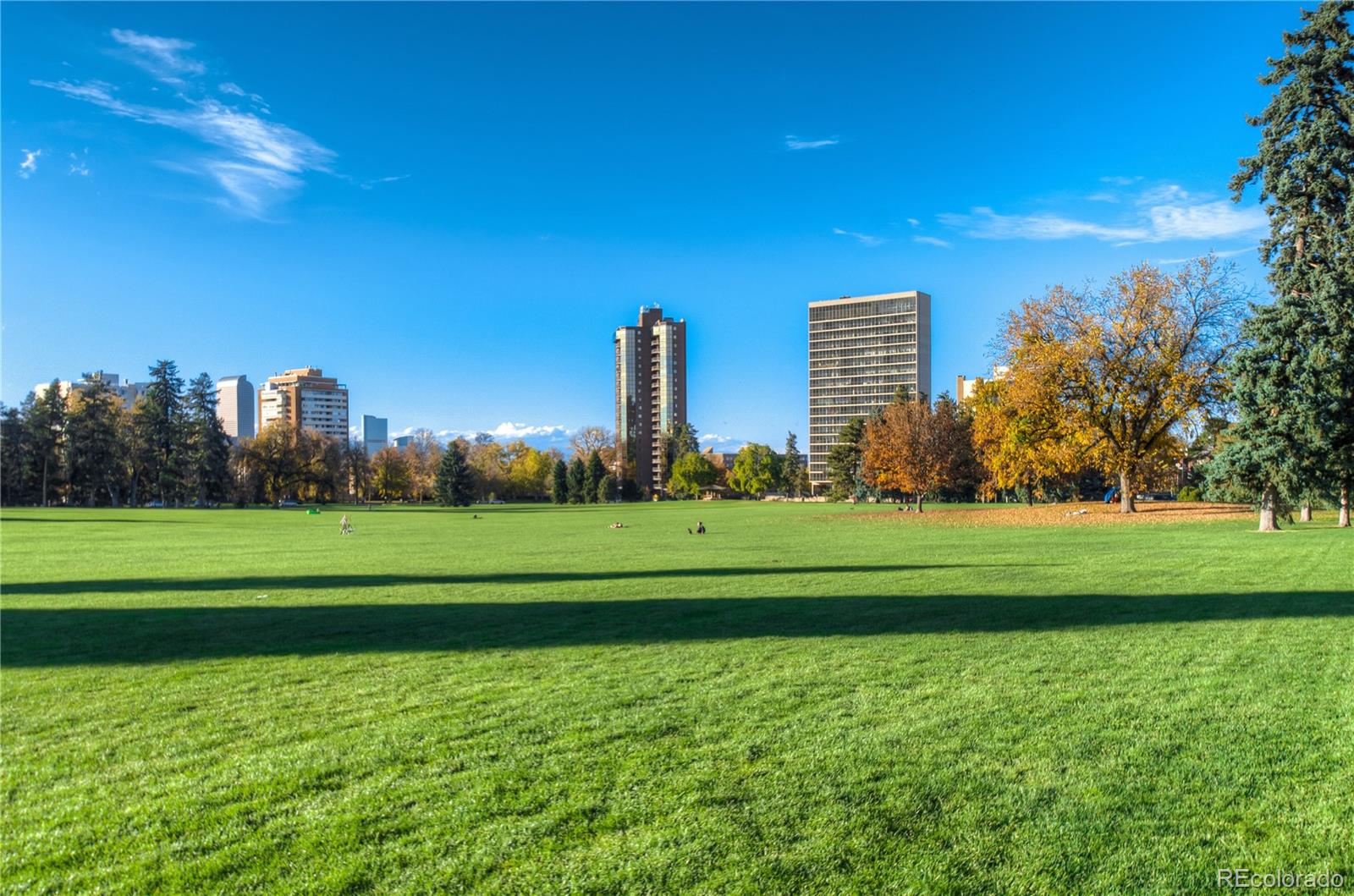 46th image of 1201 N Williams St #5A, Denver, CO 80218 | MLS# 7498536