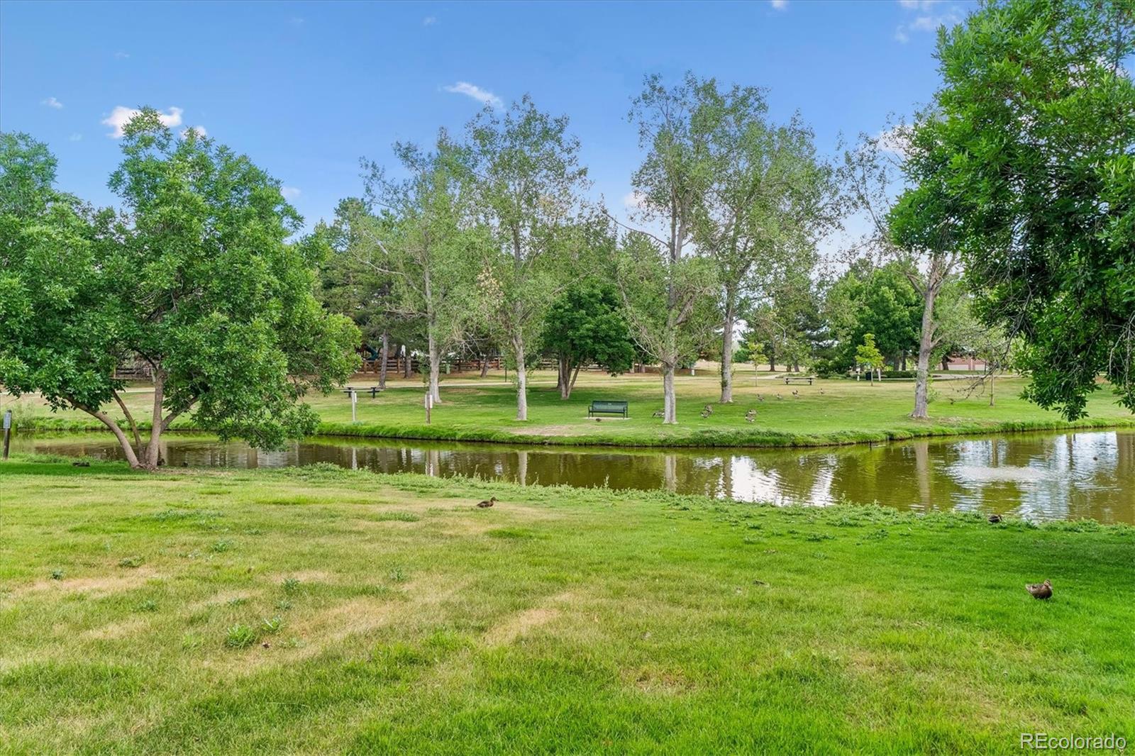 3rd image of 10417 Red Mtn W, Littleton, CO 80127 | MLS# 1698326