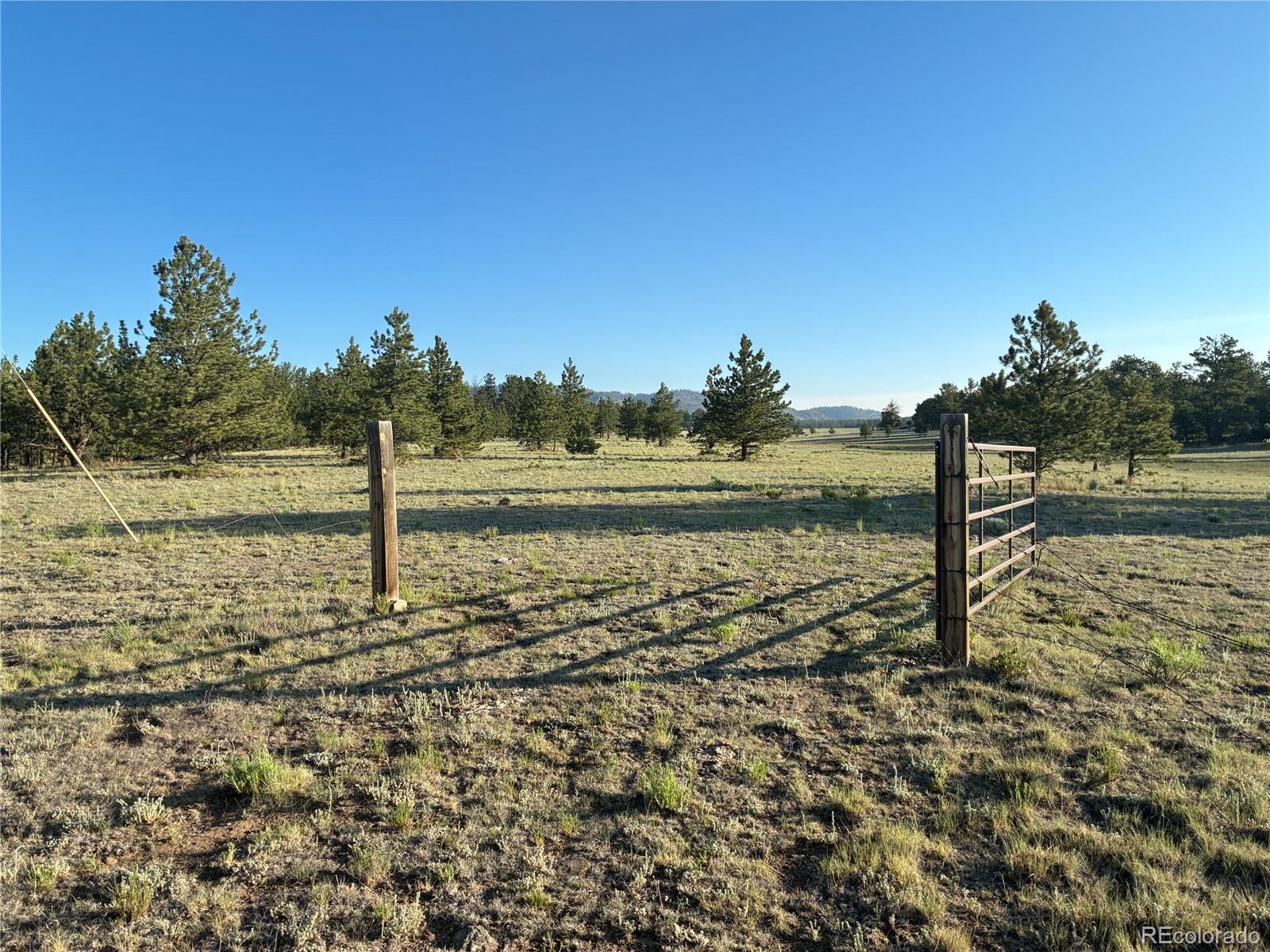 3rd image of 000 Doe Valley Rd, Guffey, CO 80820 | MLS# 9878572