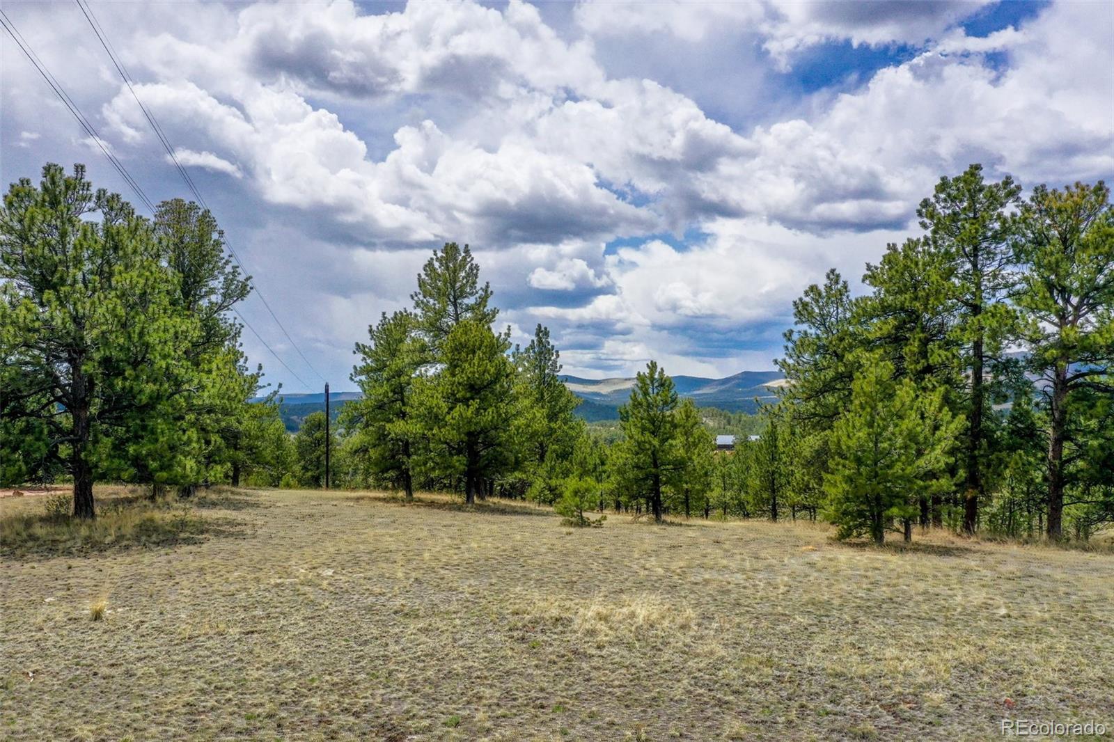 21st image of 000 Doe Valley Rd, Guffey, CO 80820 | MLS# 9878572