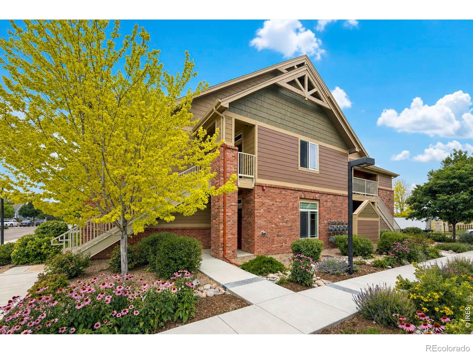 1st image of 804 Summer Hawk Dr #8104, Longmont, CO 80504 | MLS# IR1064259