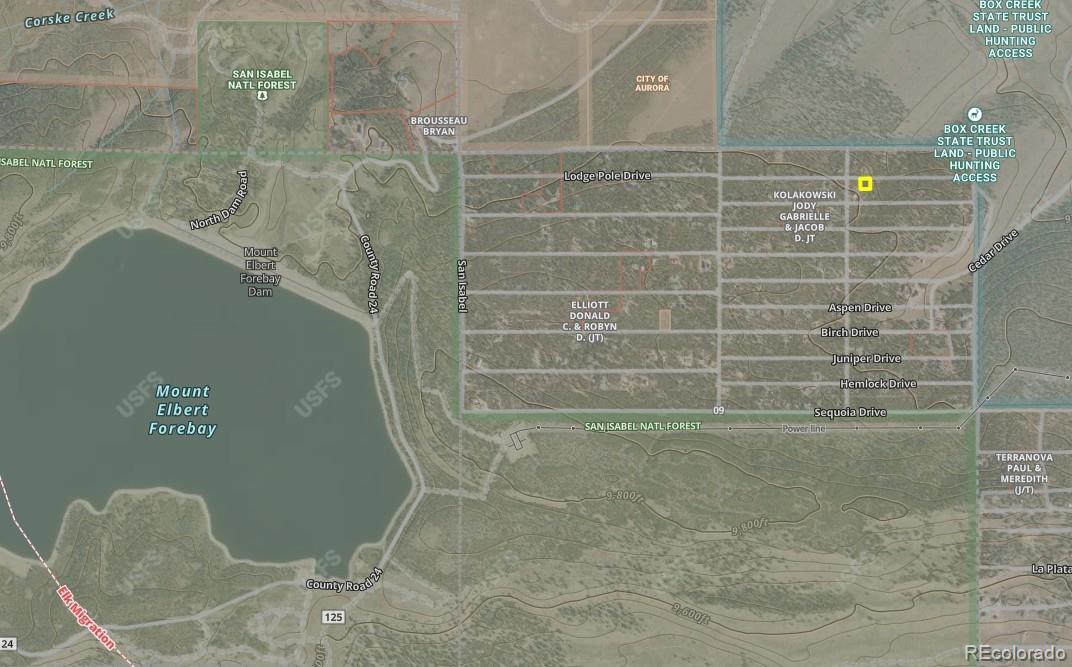 27th image of 198 Lodgepole Dr, Leadville, CO 80461 | MLS# 4894459
