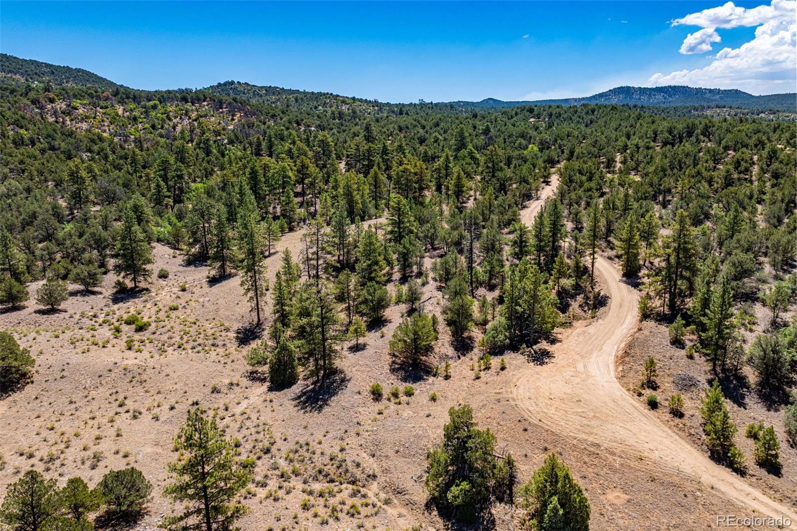 1st image of 948 White Wing Wy, Cotopaxi, CO 81223 | MLS# 8948884