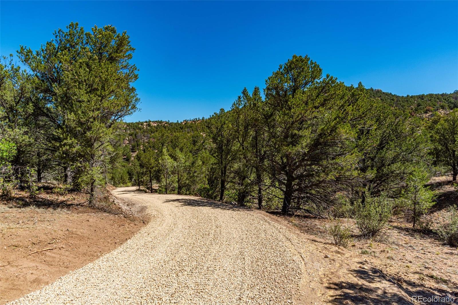 3rd image of 948 White Wing Wy, Cotopaxi, CO 81223 | MLS# 8948884