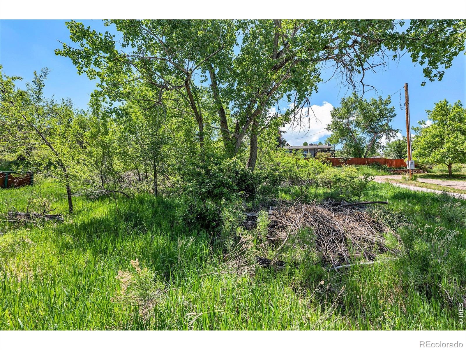 3rd image of 4804 Foothills Dr, Fort Collins, CO 80526 | MLS# IR1064378