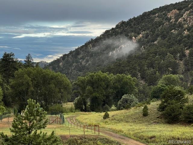 2nd image of 1420 Coyote Run, Cotopaxi, CO 81223 | MLS# 3342863