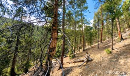 5th image of 111 Kevin Gulch Rd, Leadville, CO 80461 | MLS# 3526287