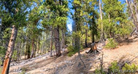 3rd image of 111 Kevin Gulch Rd, Leadville, CO 80461 | MLS# 3526287