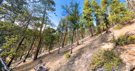 4th image of 111 Kevin Gulch Rd, Leadville, CO 80461 | MLS# 3526287