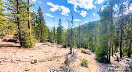 1st image of 111 Kevin Gulch Rd, Leadville, CO 80461 | MLS# 3526287