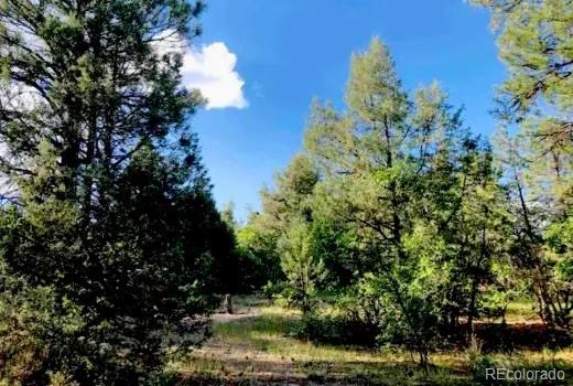 3rd image of 131 Retreat Ct, Pagosa Springs, CO 81147 | MLS# 5239395