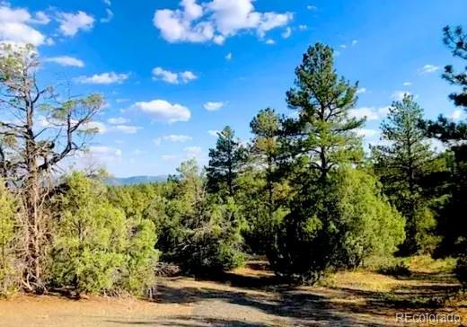 5th image of 131 Retreat Ct, Pagosa Springs, CO 81147 | MLS# 5239395
