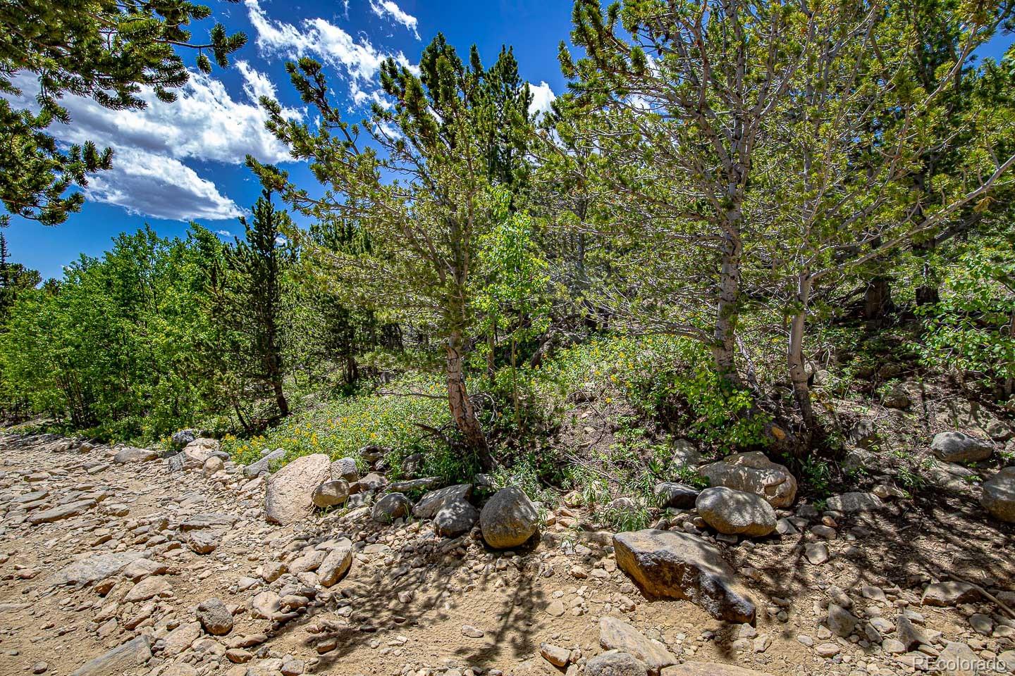 50th image of 123 Yankee Hill Trl, Black Hawk, CO 80427 | MLS# 7988063