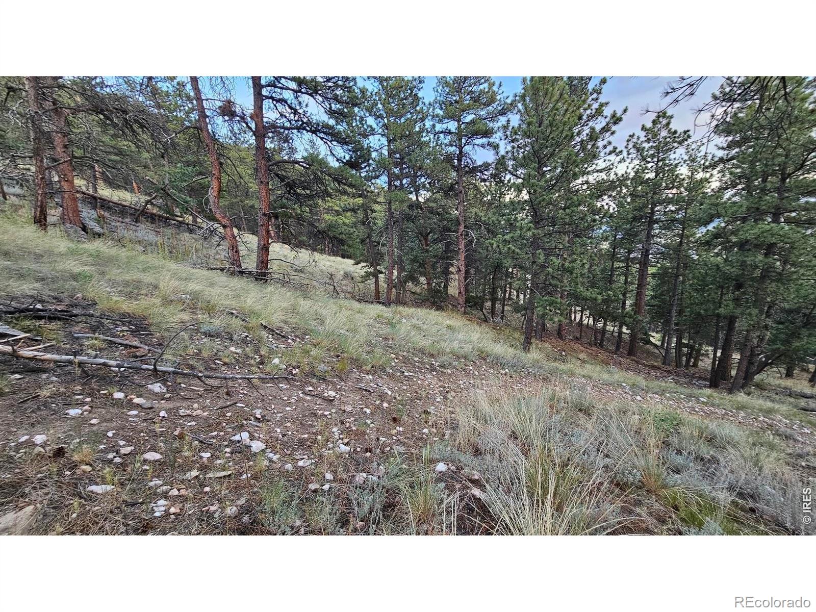 3rd image of 3724 Woodchuck Dr, Loveland, CO 80538 | MLS# IR1064638