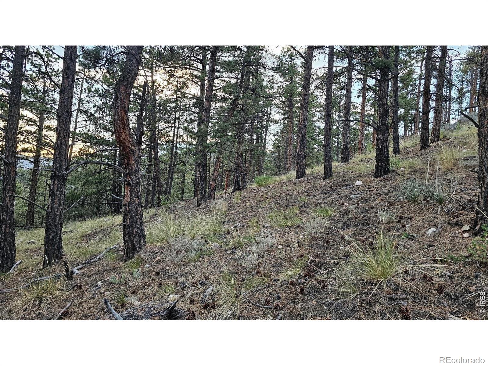 5th image of 3724 Woodchuck Dr, Loveland, CO 80538 | MLS# IR1064638