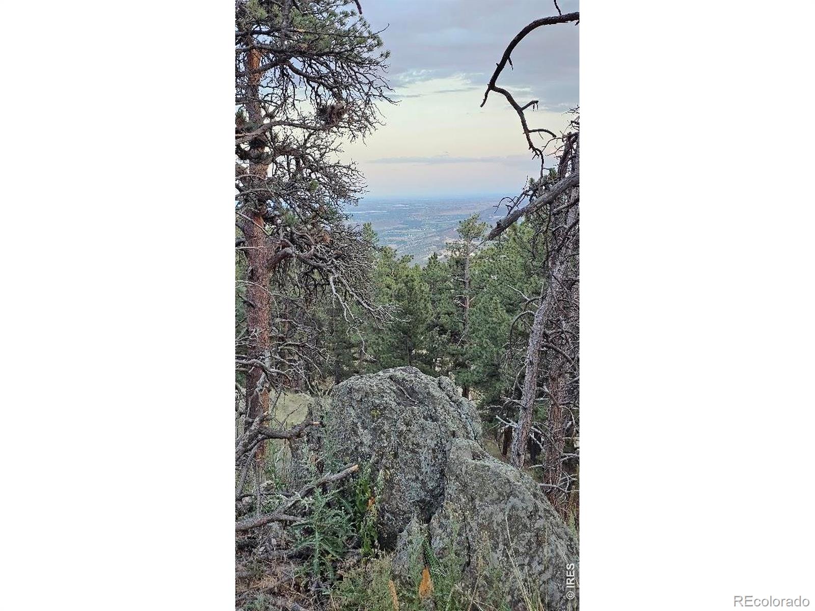 4th image of 3724 Woodchuck Dr, Loveland, CO 80538 | MLS# IR1064638