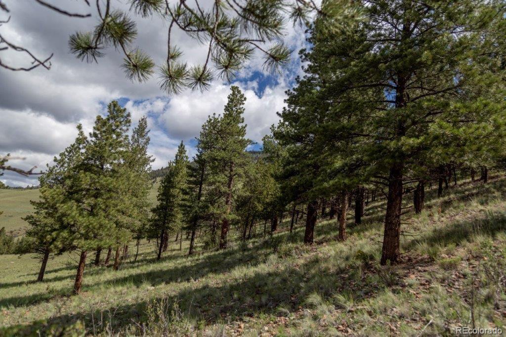 2nd image of 645 Cliff View Dr, Creede, CO 81130 | MLS# 5026937
